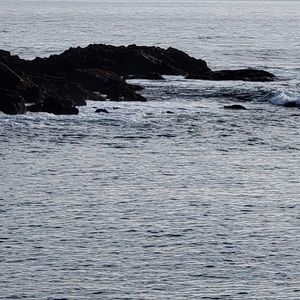 Meet your Posher, Jeannette